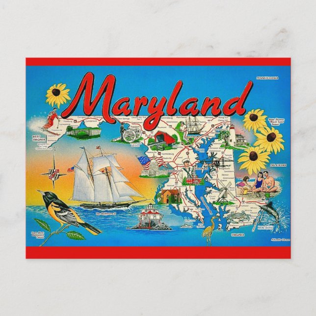 Färgglad Maryland-karta brevkort Vykort (Framsida)