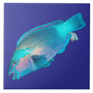 Färgglad Papegojfisk Ocean Blått Hav Kakelplatta