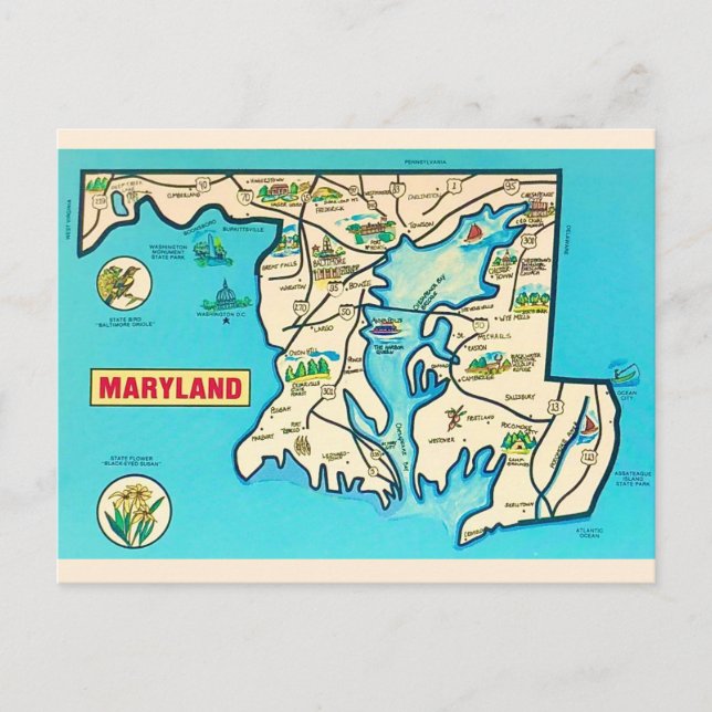 Färgglad Vintage Maryland Kartaffisch Vykort (Framsida)