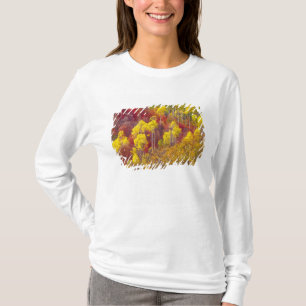 Färgglada asp i Logan Canyon Utah 2 Tee Shirt