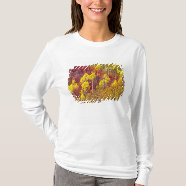Färgglada asp i Logan Canyon Utah 2 Tee Shirt (Framsida)