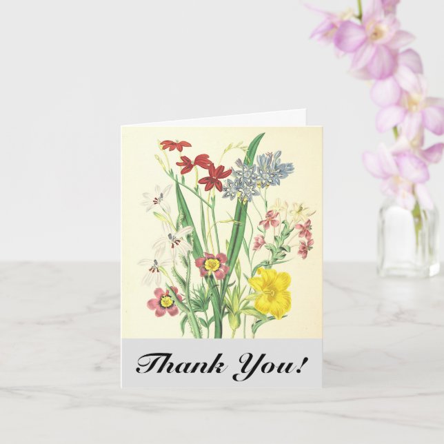 Färgglada blommor och växter, "Tack!" Vykort (Orkide)