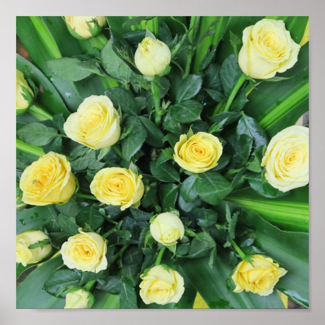 färgglada+ blommor,    trädgårdstomte, poster (Framsidan)