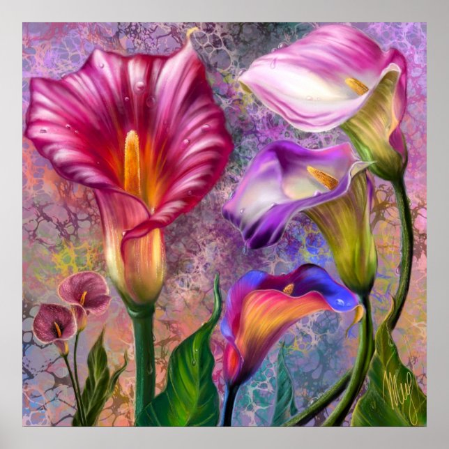 Färgglada Calla Lilior Affisch (Framsidan)