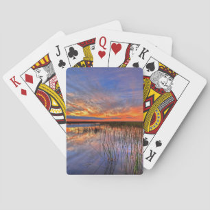 Färgglada Everglades, Florida, Casinokort