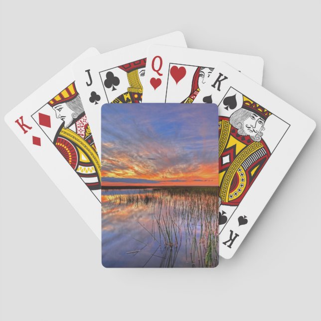 Färgglada Everglades, Florida, Casinokort (Baksidan)