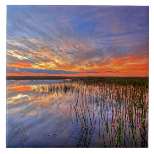 Färgglada Everglades, Florida, Kakelplatta