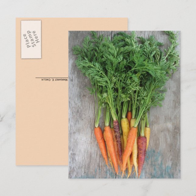 Färgglada färska små morötter, väderbitet trädgall vykort (Fram/baksida)