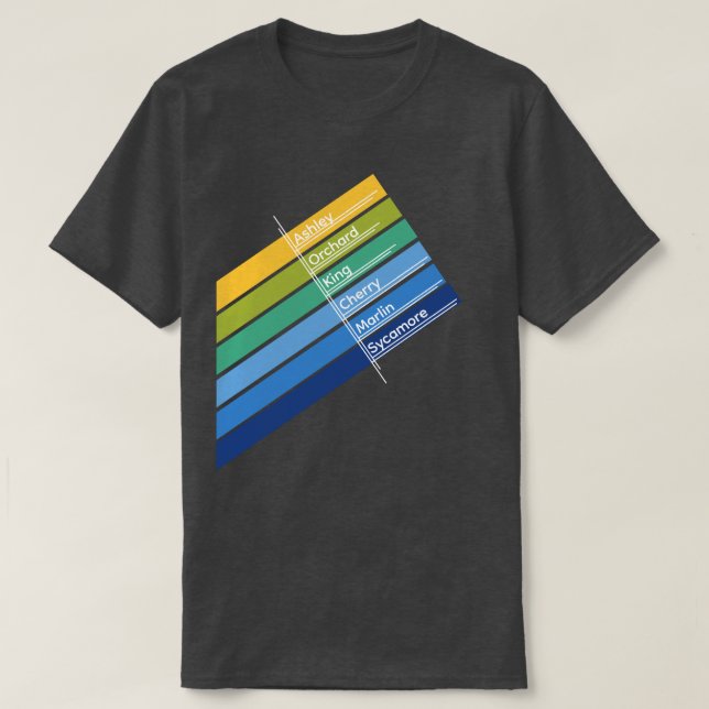 Färgglada herr College Park T-shirt (Design framsida)