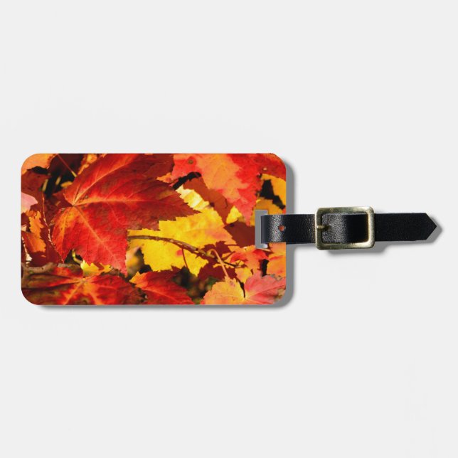 Färgglada höstlöv, guld röd orange lönnlöv bagagebricka (Horisontell Framsida)