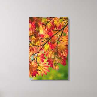 Färgglada höstlöv inklädda duk canvastryck