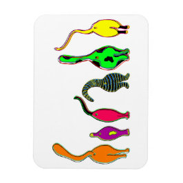 Färgglada kattbajs magnet