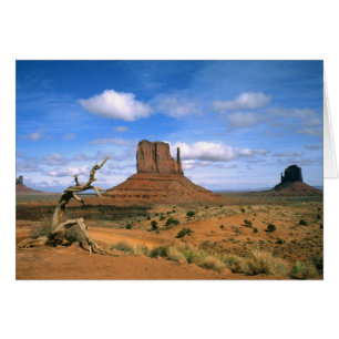 Färgglada Monument Valley handskar i Utah USA Hälsningskort