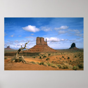 Färgglada Monument Valley handskar i Utah USA Poster