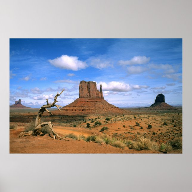 Färgglada Monument Valley handskar i Utah USA Poster (Framsidan)