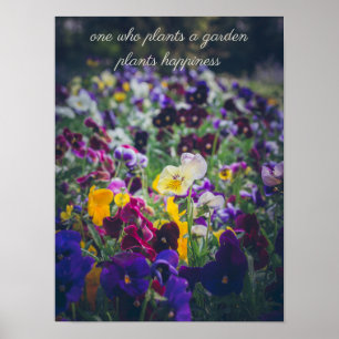 Färgglada penséer i blom i lanträdgården poster