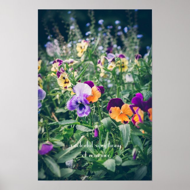 Färgglada penséer i en sommarträdgård på landet poster (Framsidan)