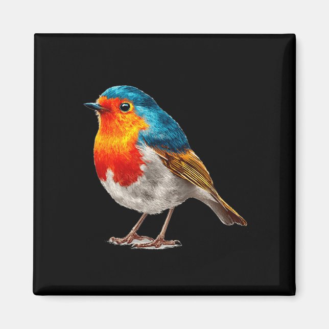 Färgglada Robin-kostymer för fåglar och fjädrar Magnet (Framsidan)