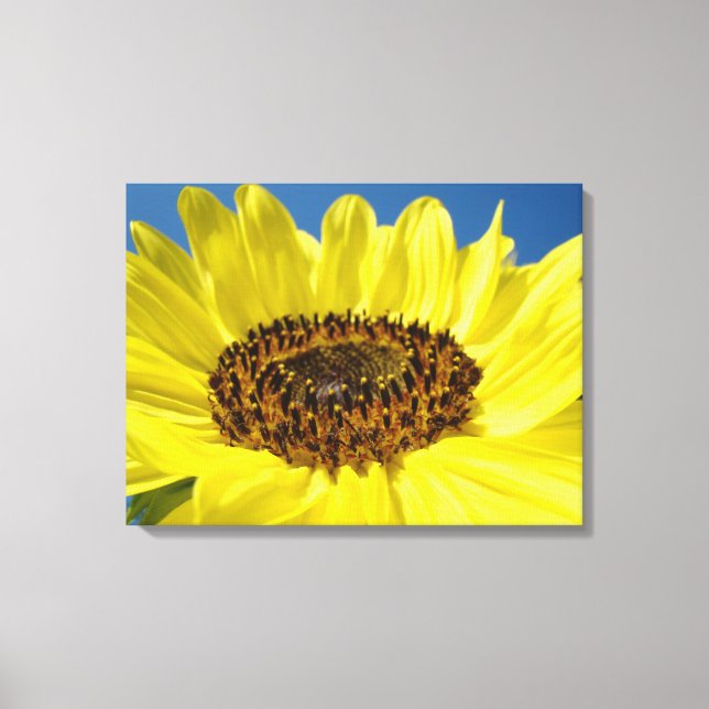 Färgglada solrosor konsttryck Canvas (Framsida)