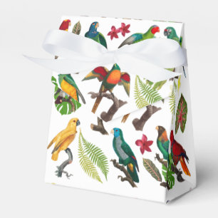 Färgglada tropiska papegojor, blad & blommor presentaskar