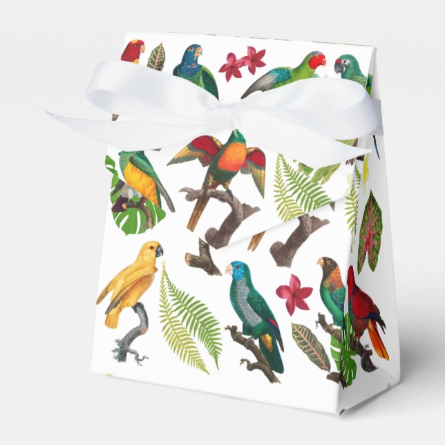 Färgglada tropiska papegojor, blad & blommor presentaskar (Framsidan Sidan)