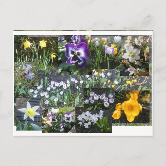 Färgglada vårblommor Collage DIY vykort (Framsida)