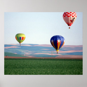 Färgglada varmluftsballonger flyger över vete poster