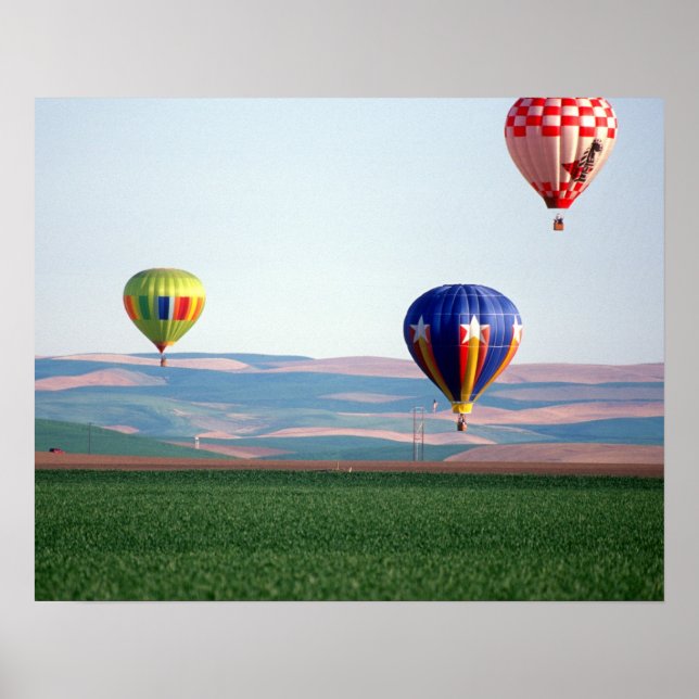 Färgglada varmluftsballonger flyger över vete poster (Framsidan)