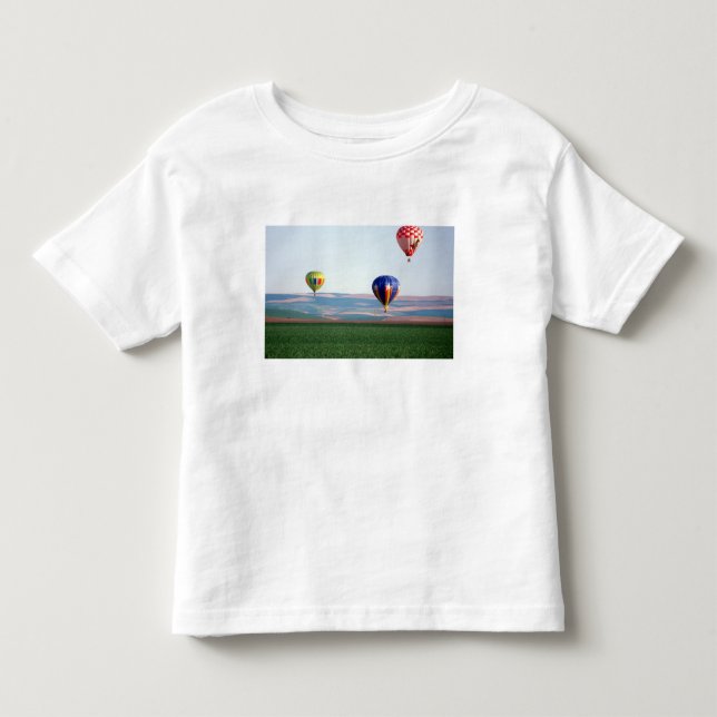 Färgglada varmluftsballonger svävar över vete tee (Framsida)