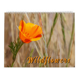 Färgglada vilda blommor  kalender