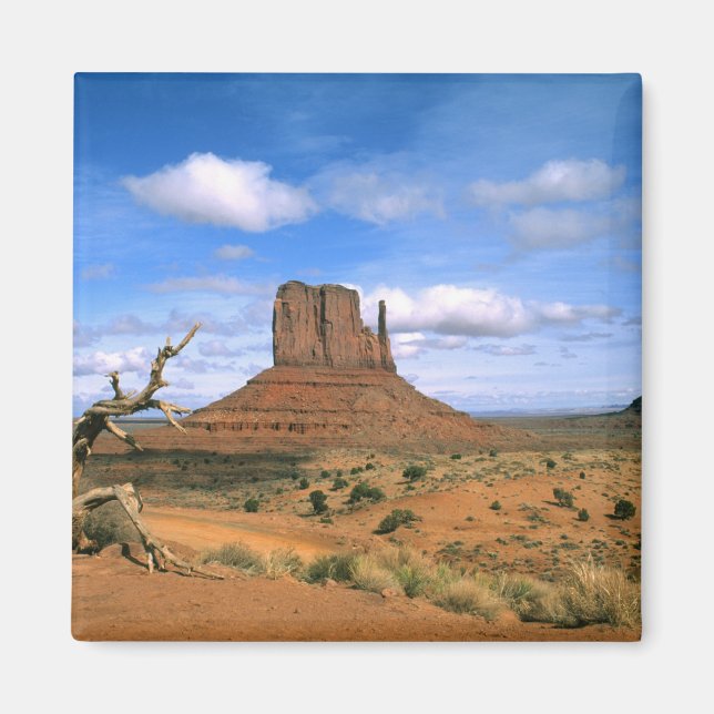 Färgglatt Monument Valley handskar i Utah USA Magnet (Framsidan)