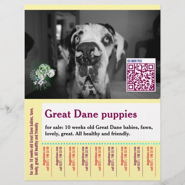 Färgglatt riv av hund flyer  (Framsidan)