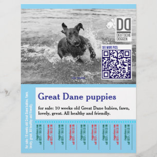 Färgglatt riv av hund flyer