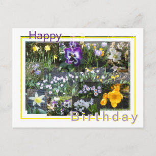 Färgglatt vårblommor collage födelsedags postkort helg vykort