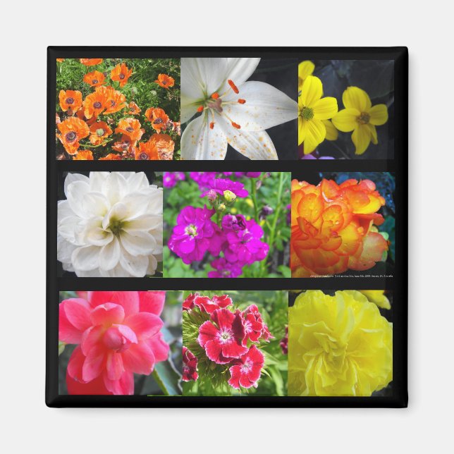 färgglilla trädgårdsblommor magnet (Framsidan)