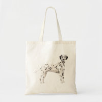 Färggrafik i Cute Dalmatian hund illustration