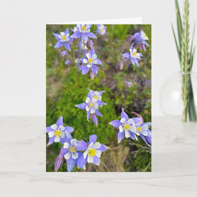Färggranna akvariefleuror i violett, blå, gul tack kort (Framsida)