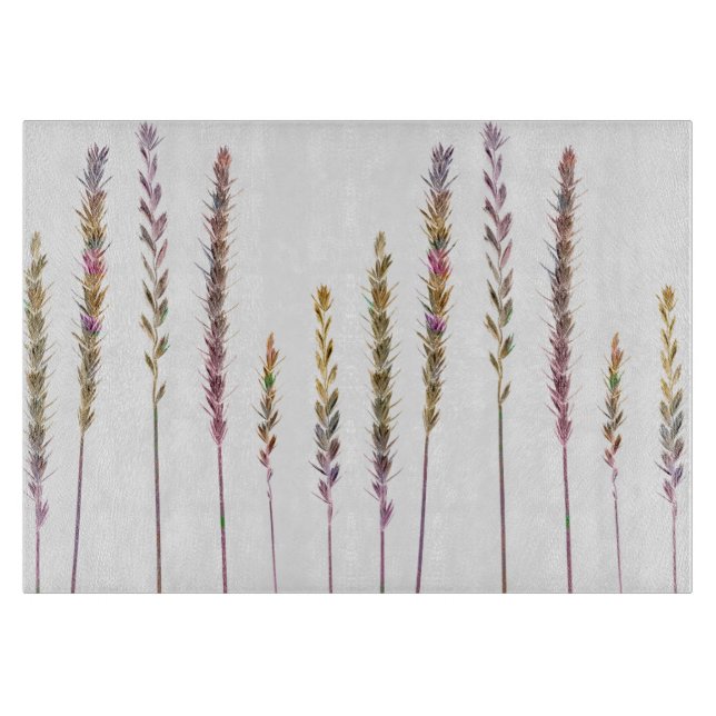 Färggräs (Framsidan)