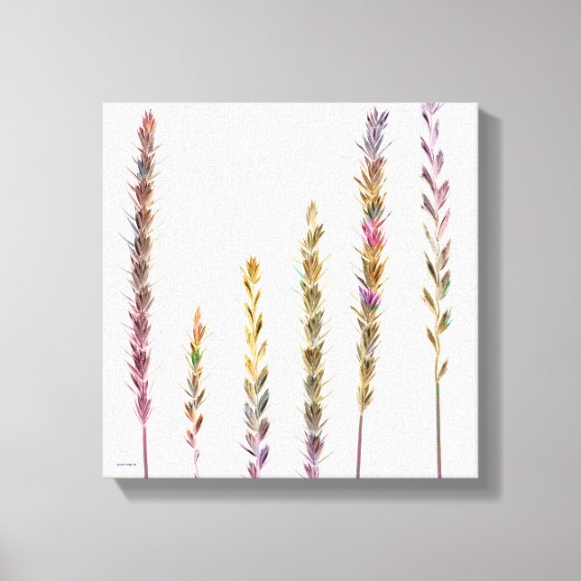 Färggräs Canvastryck (Framsida)