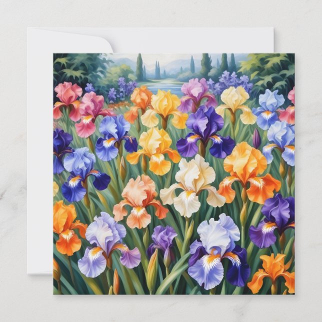 Färgig iris-trädgård (Framsida)