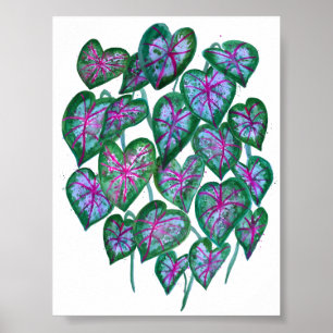 Färgkaladium Watercolor Art Rosa Grönt Poster
