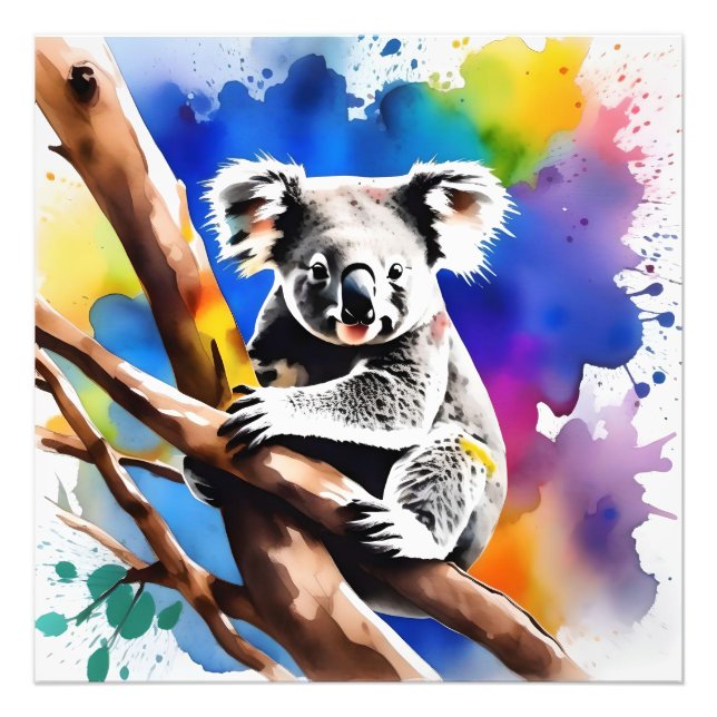 Färgkoala Bear Watercolor Stänk. Fototryck (Framsidan)