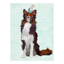 FÄRGKOLLIE OCH BLÅFÅR