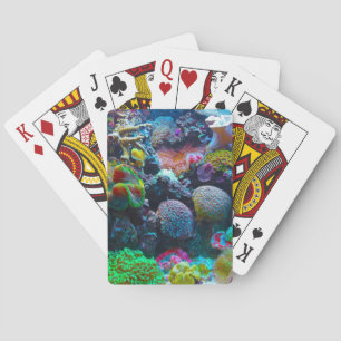Färgkorall Casinokort