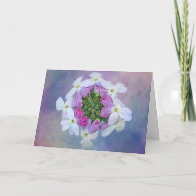 Färgkort för blommor kort (Framsida)