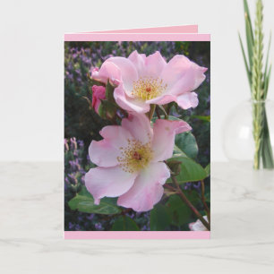 Färgkort för Rosa Sparrieshoop Ro Hälsning Kort
