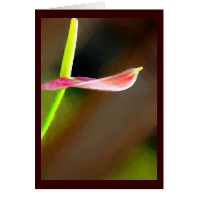 Färgkort Hälsningskort (Framsidan)