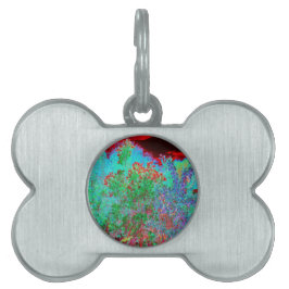 Färglös Abstrakt Garden med Crimson Sunset ID-bricka Husdjur