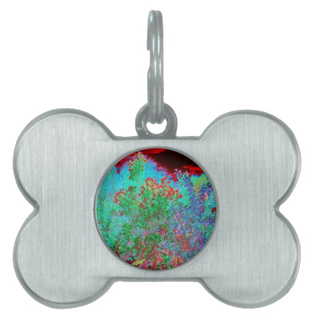 Färglös Abstrakt Garden med Crimson Sunset ID-bricka Husdjur (Framsidan)