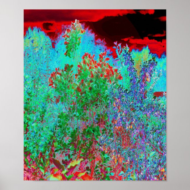 Färglös Abstrakt Garden med Crimson Sunset Poster (Framsidan)